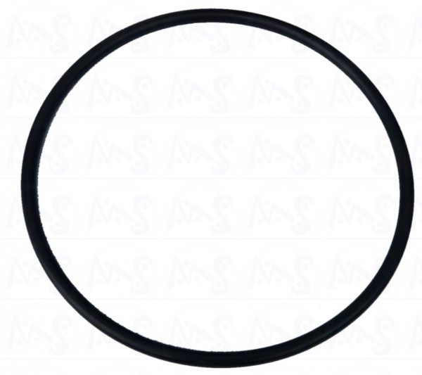 O-Ring für Ventil der Azuro® Sandfilteranlage